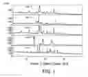 Fig. 02 - Formulations of 2-(4-chlorophenyl)-N-((2-(2,6-dioxopiperidin-3-yl)-1-oxoisoindolin-5-yl)methyl)-2,2-difluoroacetamide