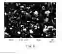 Fig. 04 - Formulations of 2-(4-chlorophenyl)-N-((2-(2,6-dioxopiperidin-3-yl)-1-oxoisoindolin-5-yl)methyl)-2,2-difluoroacetamide