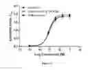 Fig. 06 - ADMINISTRATION OF DEUTERATED CFTR POTENTIATORS