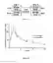 Fig. 09 - ADMINISTRATION OF DEUTERATED CFTR POTENTIATORS