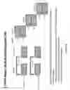 Fig. 10 - ADMINISTRATION OF DEUTERATED CFTR POTENTIATORS