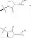 Fig. 244 - MODULATORS OF PROTEOLYSIS AND ASSOCIATED METHODS OF USE