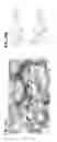 Fig. 27 - MODULATORS OF PROTEOLYSIS AND ASSOCIATED METHODS OF USE