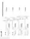 Fig. 30 - MODULATORS OF PROTEOLYSIS AND ASSOCIATED METHODS OF USE