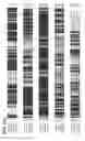 Fig. 33 - MODULATORS OF PROTEOLYSIS AND ASSOCIATED METHODS OF USE
