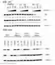Fig. 37 - MODULATORS OF PROTEOLYSIS AND ASSOCIATED METHODS OF USE