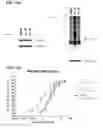Fig. 41 - MODULATORS OF PROTEOLYSIS AND ASSOCIATED METHODS OF USE