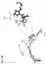 Fig. 48 - MODULATORS OF PROTEOLYSIS AND ASSOCIATED METHODS OF USE