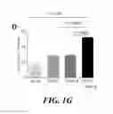 Fig. 08 - COMBINATION THERAPIES FOR TREATING B-CELL MALIGNANCIES