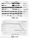 Fig. 32 - COMBINATION THERAPIES FOR TREATING B-CELL MALIGNANCIES
