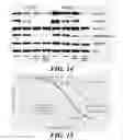 Fig. 35 - COMBINATION THERAPIES FOR TREATING B-CELL MALIGNANCIES