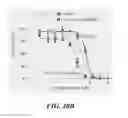 Fig. 41 - COMBINATION THERAPIES FOR TREATING B-CELL MALIGNANCIES