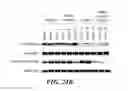 Fig. 49 - COMBINATION THERAPIES FOR TREATING B-CELL MALIGNANCIES