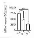 Fig. 02 - Methods of sensitizing tumor cells to weak base chemotherapeutic drugs