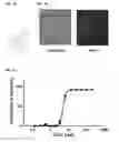 Fig. 02 - Methods of preventing or treating filovirus and flavivirus diseases