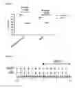 Fig. 04 - Methods of preventing or treating filovirus and flavivirus diseases