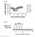 Fig. 07 - Methods of preventing or treating filovirus and flavivirus diseases