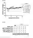 Fig. 09 - Methods of preventing or treating filovirus and flavivirus diseases