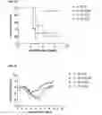 Fig. 10 - Methods of preventing or treating filovirus and flavivirus diseases