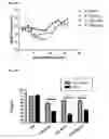 Fig. 12 - Methods of preventing or treating filovirus and flavivirus diseases