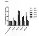 Fig. 15 - Methods of preventing or treating filovirus and flavivirus diseases