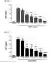 Fig. 17 - Methods of preventing or treating filovirus and flavivirus diseases