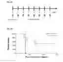 Fig. 19 - Methods of preventing or treating filovirus and flavivirus diseases