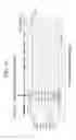 Fig. 04 - Double-stranded nucleic acid molecule, DNA, vector, cancer cell growth inhibitor, cancer cell migration inhibitor, and drug