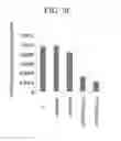Fig. 14 - Double-stranded nucleic acid molecule, DNA, vector, cancer cell growth inhibitor, cancer cell migration inhibitor, and drug