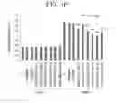 Fig. 23 - Double-stranded nucleic acid molecule, DNA, vector, cancer cell growth inhibitor, cancer cell migration inhibitor, and drug