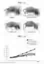 Fig. 26 - Double-stranded nucleic acid molecule, DNA, vector, cancer cell growth inhibitor, cancer cell migration inhibitor, and drug