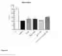 Fig. 08 - Methods for treating sarcopenia and frailty