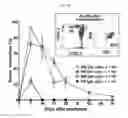 Fig. 08 - Uses of expanded populations of hematopoietic stem/progenitor cells