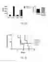 Fig. 13 - Methods of treatment with natural killer cells matched for killer immunoglobulin receptor type