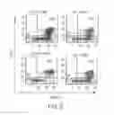 Fig. 14 - Methods of treatment with natural killer cells matched for killer immunoglobulin receptor type
