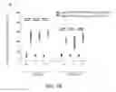 Fig. 18 - Methods of treatment with natural killer cells matched for killer immunoglobulin receptor type