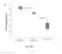 Fig. 32 - Methods of treatment with natural killer cells matched for killer immunoglobulin receptor type