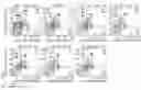 Fig. 01 - Methods and compositions for cellular immunotherapy