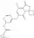 Fig. 101 - Methods and compositions for cellular immunotherapy