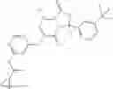Fig. 95 - Methods and compositions for cellular immunotherapy