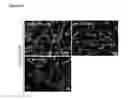 Fig. 05 - Scalable production of standardized extracellular vesicles, extracellular vesicle preparations and uses thereof