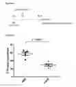 Fig. 16 - Scalable production of standardized extracellular vesicles, extracellular vesicle preparations and uses thereof