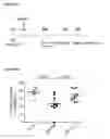 Fig. 23 - Scalable production of standardized extracellular vesicles, extracellular vesicle preparations and uses thereof