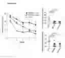 Fig. 24 - Scalable production of standardized extracellular vesicles, extracellular vesicle preparations and uses thereof