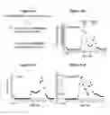 Fig. 25 - Scalable production of standardized extracellular vesicles, extracellular vesicle preparations and uses thereof