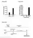 Fig. 29 - Scalable production of standardized extracellular vesicles, extracellular vesicle preparations and uses thereof