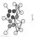 Fig. 18 - Network-based microbial compositions and methods