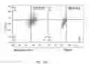 Fig. 28 - Phosphorylcholine conjugates and uses thereof