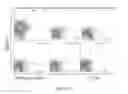 Fig. 41 - Phosphorylcholine conjugates and uses thereof