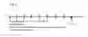 Fig. 06 - Methods for reducing cardiotoxicity from chemotherapy by administering humanin analog compositions